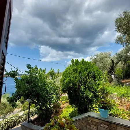 Violetta & * Milína