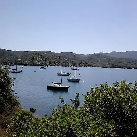 Violetta & * Milína