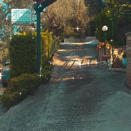 Violetta & 米利纳