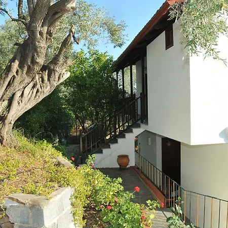 Violetta & Apartament