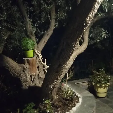 Violetta & 公寓 米利纳