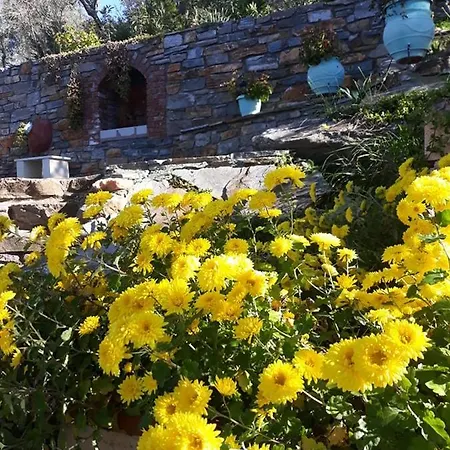 Violetta & * 米利纳