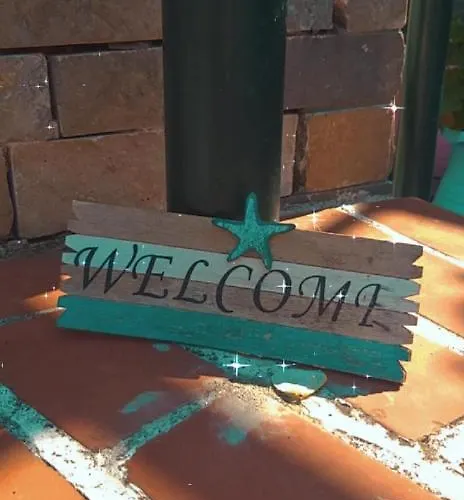 Violetta & 米利纳