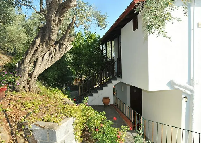 Violetta & Apartament