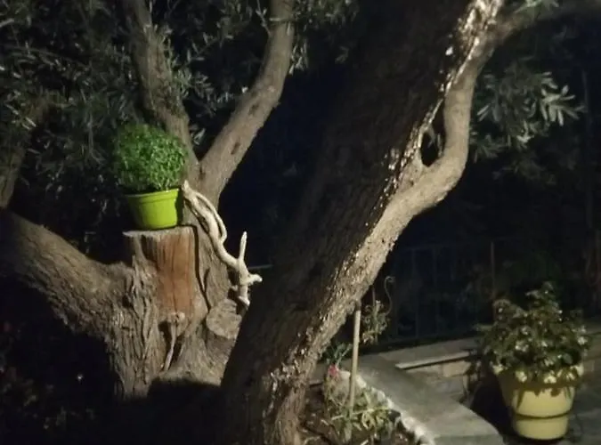 Violetta & Apartament Milina