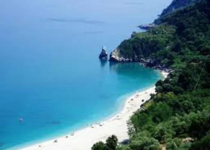 Violetta & 米利纳