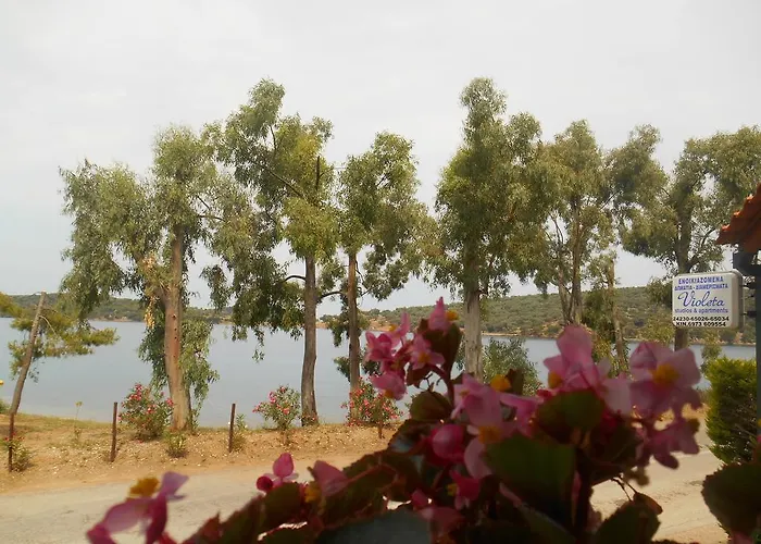 Violetta & Apartament *