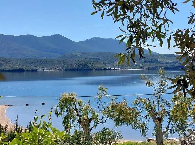 Violetta & Apartament *