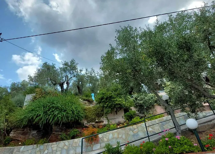 Violetta & Apartament *