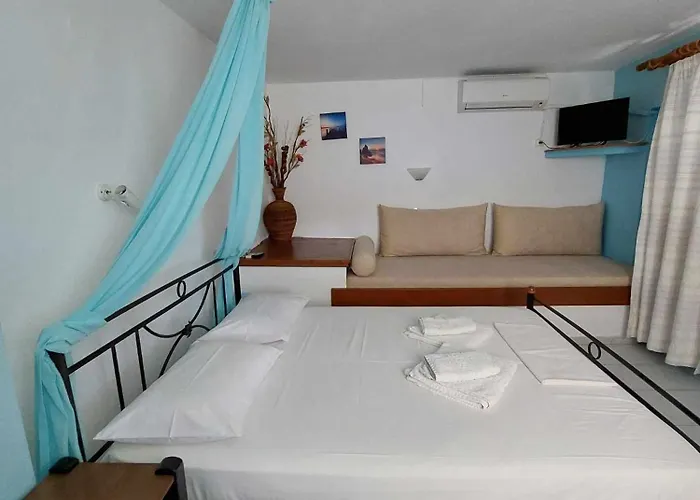 Violetta & 米利纳